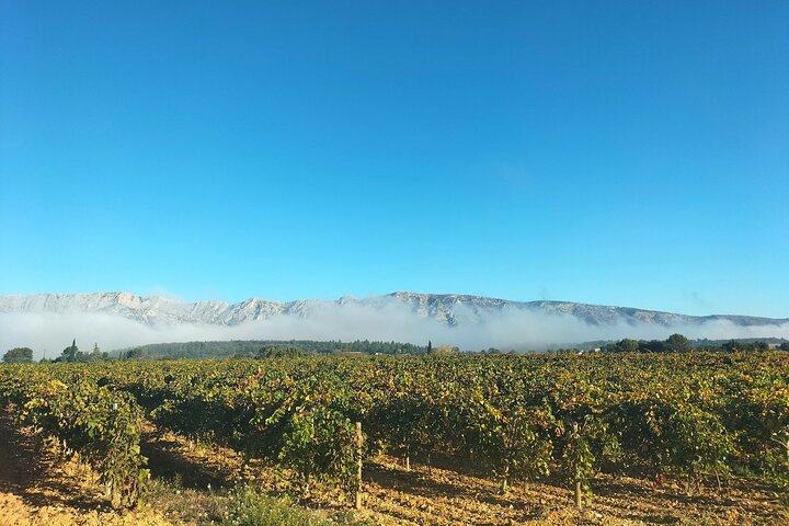 Experience Image img4