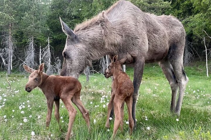 Experience Image img1