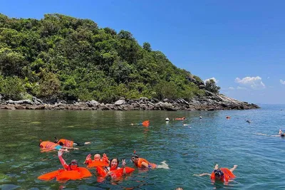 Discover Cham Islands: Snorkeling Adventure & Speed Boat Tour