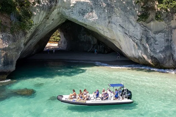 Cathedral Cove Cruise: See Caves & Marine Life!