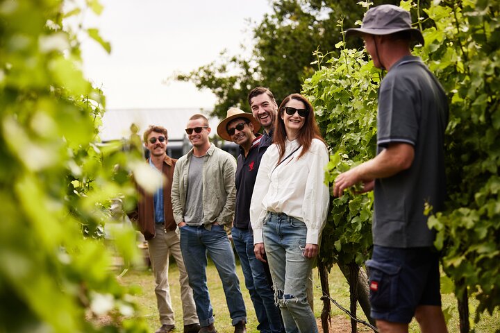 Experience Image img4