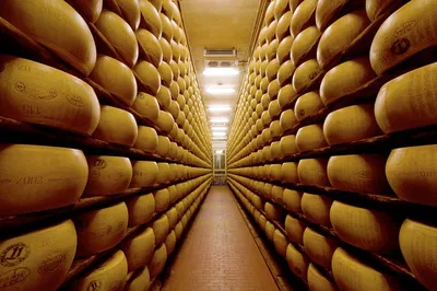 Emilia Romagna's Gastronomic Gems: A Half-Day Private Food Tour