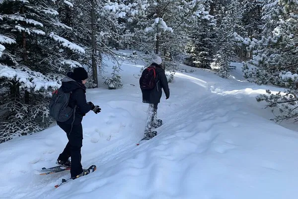 Rocky Mountain Snowshoeing: Denver's Winter Escape