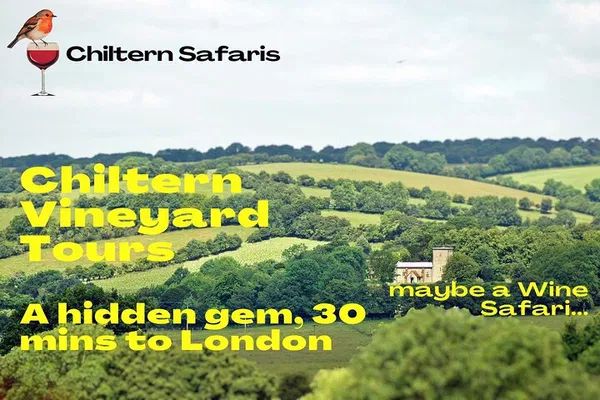 Chilterns Wine Tour: Taste Local Wines & Vineyards