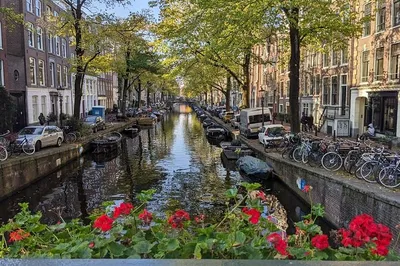 Uncover Amsterdam's Secrets: A Captivating Historical Walking Tour