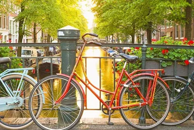 Uncover Amsterdam's Secrets: A Guaranteed Delight Walking Tour!
