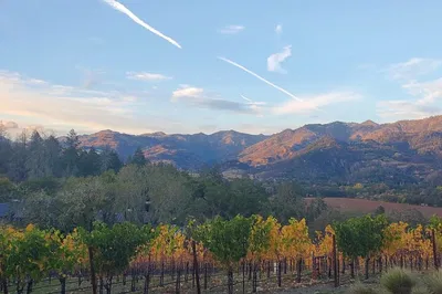 Uncork Napa & Sonoma: Personalized Wine Country Journeys