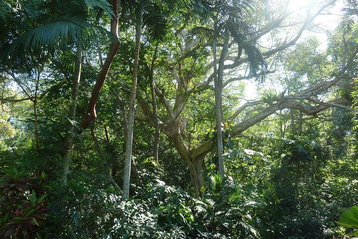 Experience Image img3