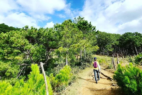 Conquer Langbiang: A Thrilling Trek to Da Lat's Peaks