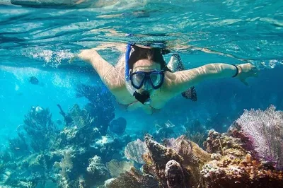 Cham Island Speedboat Tour: Snorkel, Sunbathe & Beach Fun!