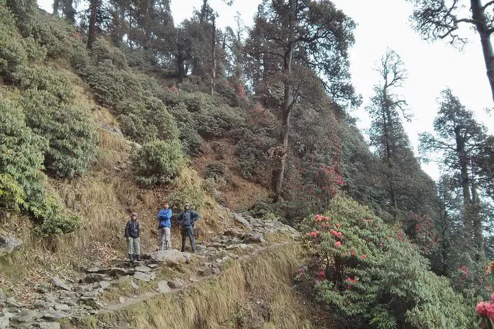 img0