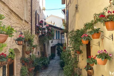 Uncover Spello's Artistic Secrets: A Guided Walking Tour