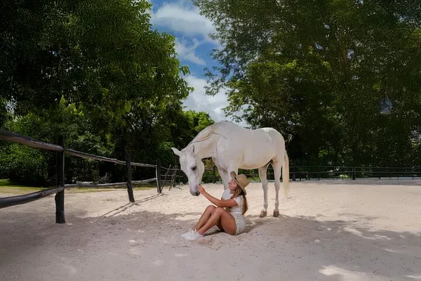 Cancun Horseback Ride & Cenote Swim Adventure
