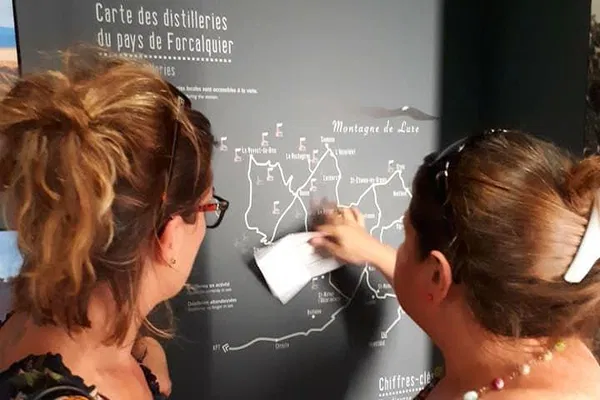 Discover Artemisia: A Sensory Journey Through Scented History