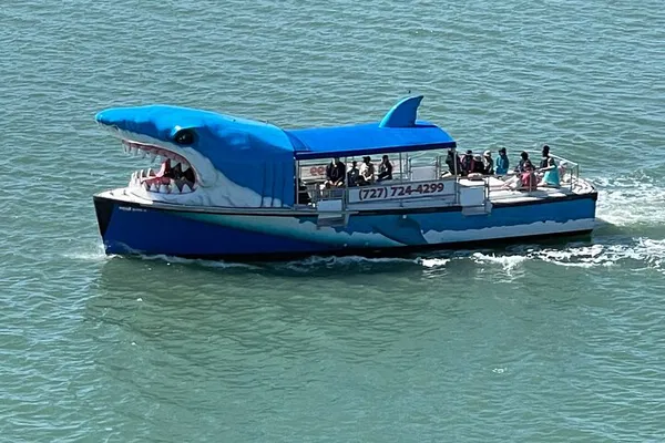 Clearwater Beach: Mega Bite Dolphin Tour - Thrilling!