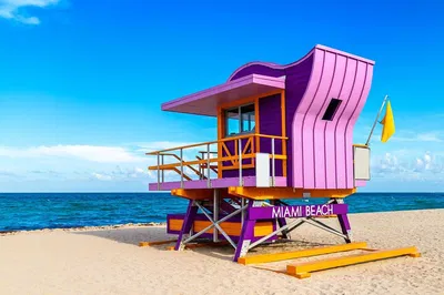 Miami Beaches Private Shore Excursion: Sun, Sand & Stunning Sights!