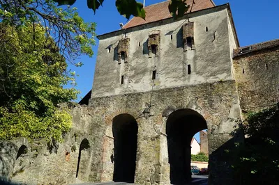 Image 3