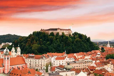 Koper: Ljubljana Hidden Gems Small Group Day Trip