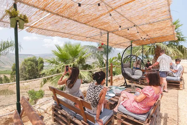 Sip, Savor, and Celebrate: Organic Winery Picnic in Sicily