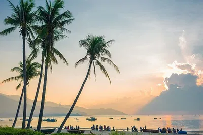 Discover Da Nang's Gems: Private Car Tour with Expert Local Driver