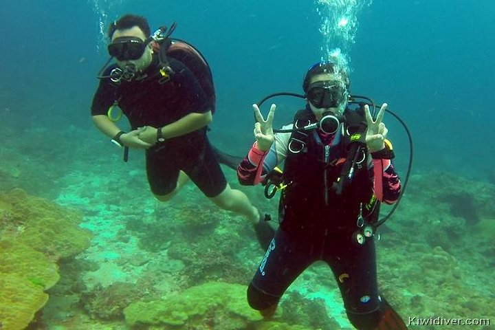 Unlock Underwater Adventures: Open Water Scuba Certification in Phuket & Belize