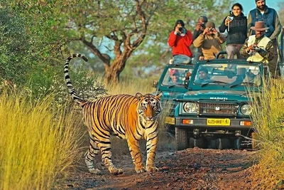Unforgettable Indian Adventure: Golden Triangle Tour with Ranthambore Wildlife