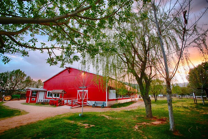 Experience Image img1