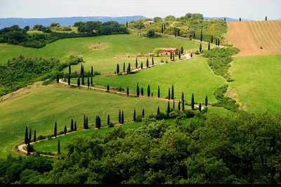 Siena & San Gimignano: Private Wine Tour from Rome