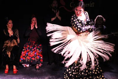 Madrid's Culinary Soul: Tapas, Wine & Flamenco Fiesta!