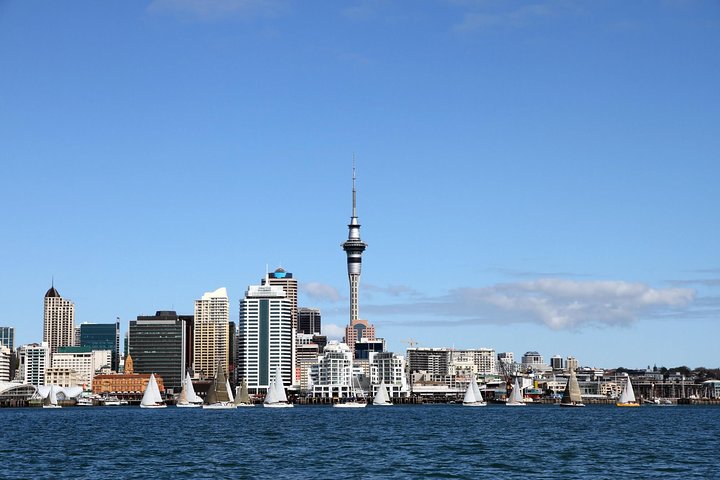 Auckland City Private Luxury Tour: Unveiling Hidden Gems