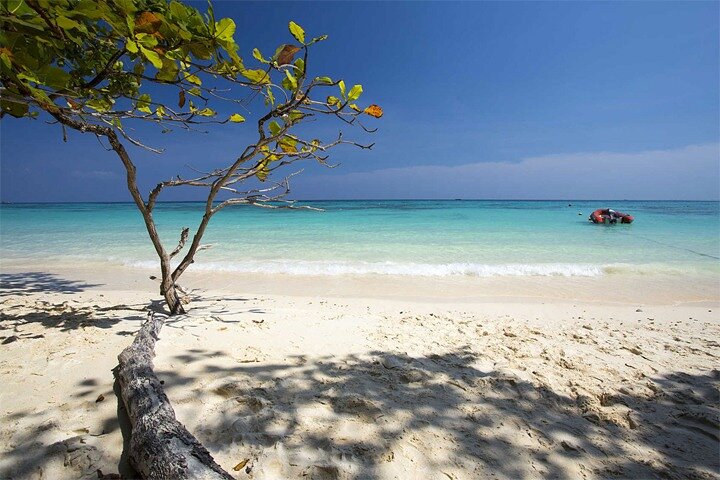 Phuket's Paradise Trio: Maiton, Phi Phi & Maya Bay Speedboat Adventure