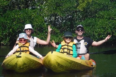 Pelican Bay Kayak Dolphin Tour: Eco Adventure!