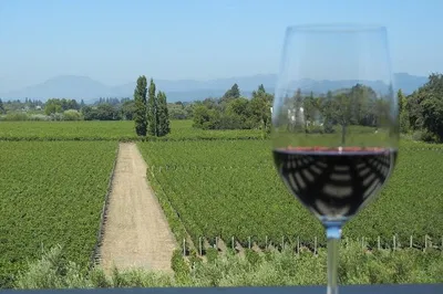 Unforgettable Sonoma & Napa Wine Tour: Small-Group Luxury from San Francisco