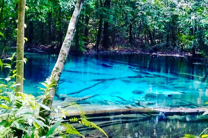 Krabi Jungle Tour: Emerald Pool, Hot Springs & Temple