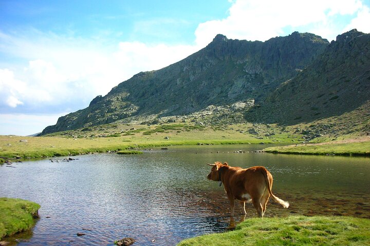 Experience Image img4