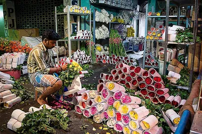 Chennai's Colorful Dawn: A Private Market Immersion