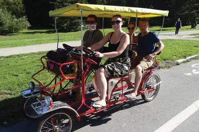Golden Gate Park Surrey Ride: A Scenic San Francisco Adventure