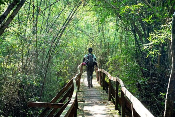 Experience Image img3