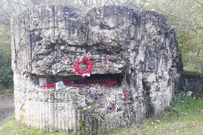 Image 2