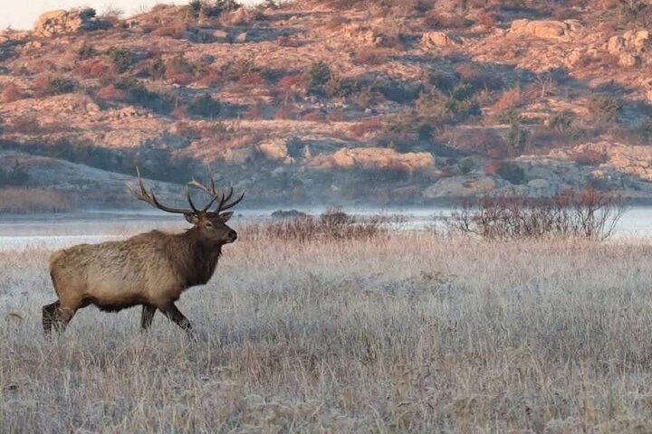 Experience Image img4