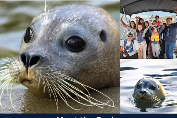 Seal Cove Adventure: Pictou's Family-Friendly Boat Tour
