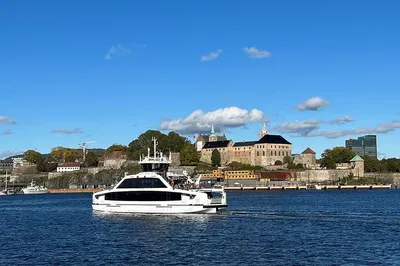 Oslo's Winter Wonders: City & Fjord Cruise Combo!