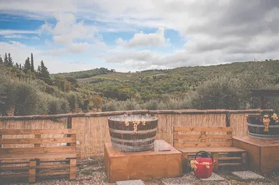 Barefoot Bliss: Grape Stomping & Wine Tasting in Chianti