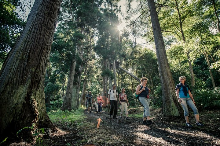 Experience Image img4