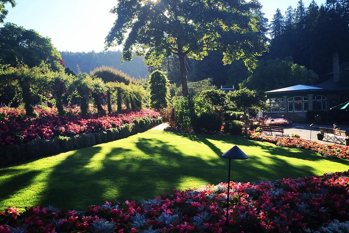 Experience Image img1