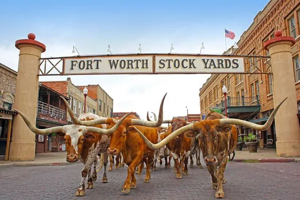 Savoring Fort Worth: A Stockyards Foodie Adventure