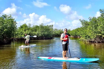 Explore Belize's Mangrove Magic: A SUP Safari Adventure!