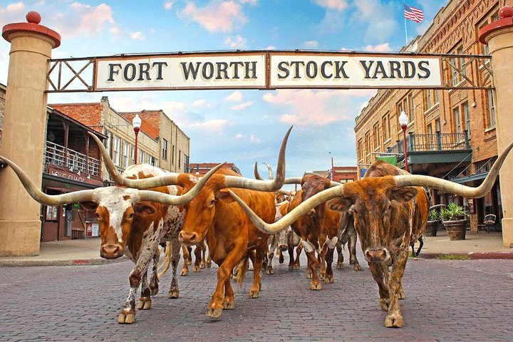 Unveiling Fort Worth: A Luxurious Journey Through Western Heritage