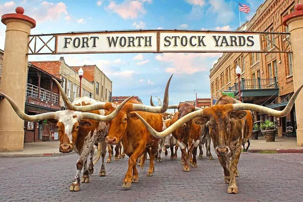 Unveiling Fort Worth: A Luxurious Journey Through Western Heritage