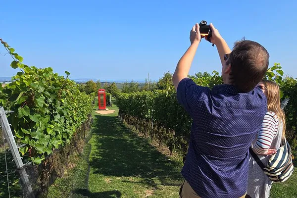 Halifax: Private Wine Tour in Annapolis Valley